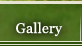 Gallery Menu Item