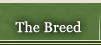 The Breen menu item